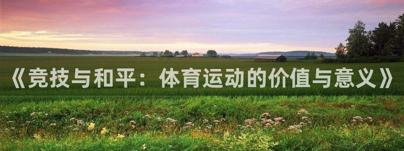 公海赌赌船官方正版app集团：《竞技与和平：体育运动