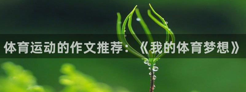 公海赌赌船官网下载注册：体育运动的作文推荐：《我的体