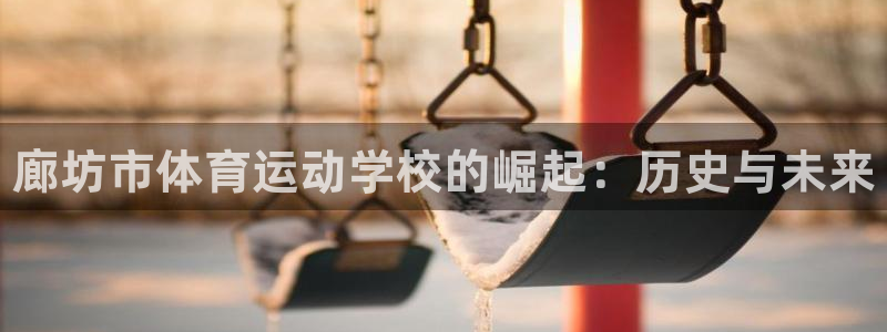 公海赌赌船官网下载平台注册流程视频：廊坊市体育运动学