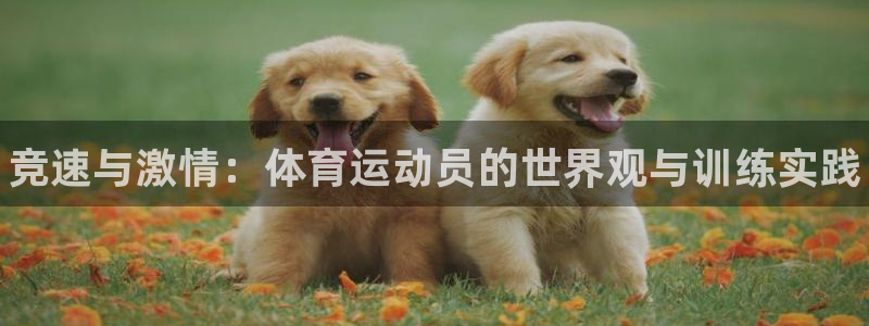 公海赌赌船官网下载联系电话：竞速与激情：体育运动员的
