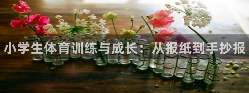 公海赌赌船官方正版app集团E.ON：小学生体育训练与成长：