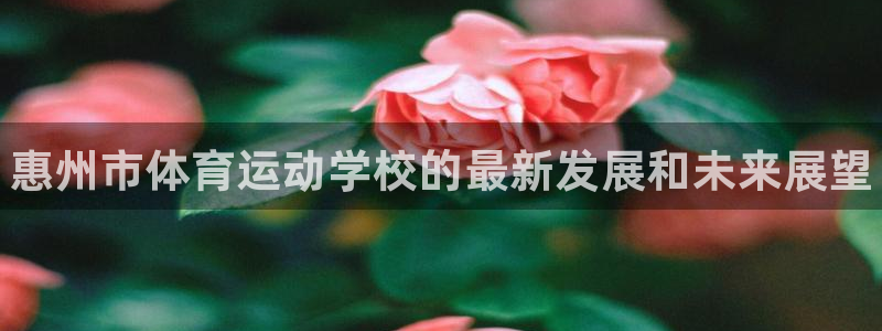 公海赌赌船官网下载招商电话是多少啊：惠州市体育运动学校的最新