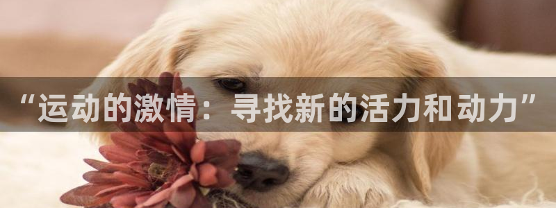 公海赌赌船官网下载联系电话：“运动的激情：寻找新的活