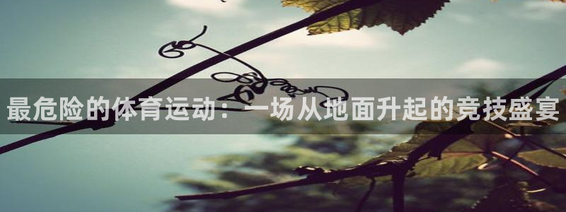 公海赌赌船官网下载平台注册：最危险的体育运动：一场从