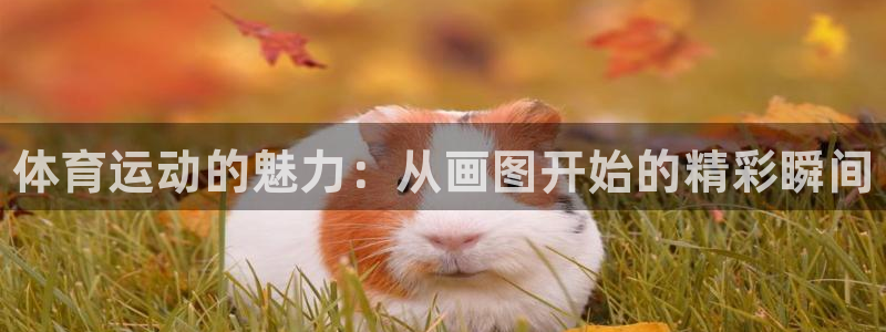 公海赌赌船官方正版app集团简介：体育运动的魅力：从