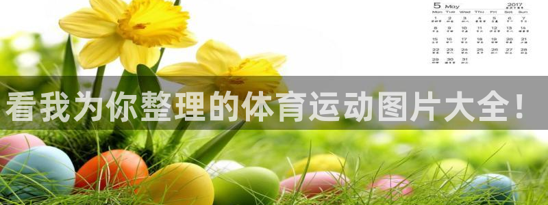 公海赌赌船官方正版app代理
