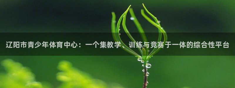 公海赌赌船官方正版app官方：辽阳市青少年体育中心：一个集教