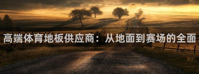 公海赌赌船官网下载招商：高端体育地板供应商：从地面到赛场的全
