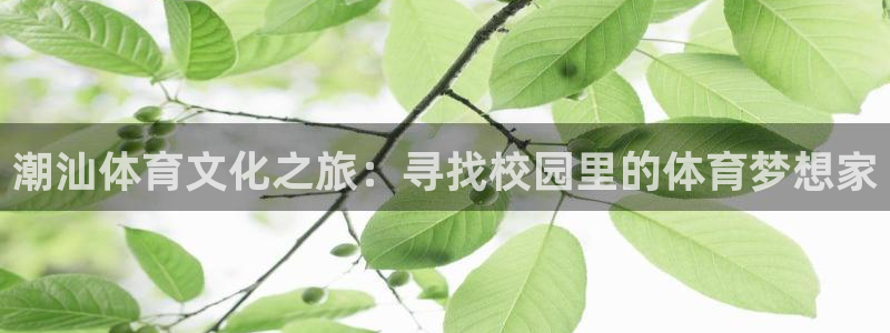公海赌赌船官方正版app官网：潮汕体育文化之旅：寻找