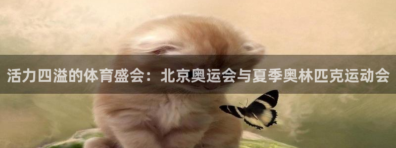 公海赌赌船官方正版app新能源：活力四溢的体育盛会：北京奥运