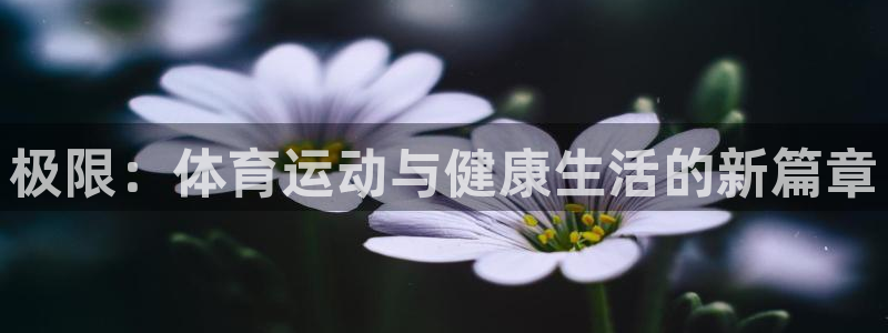 公海赌赌船官方正版app科技