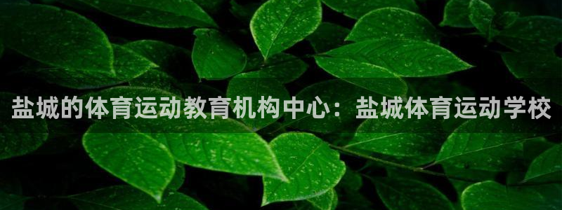 公海赌赌船官网下载平台注册要钱吗是真的吗：盐城的体育