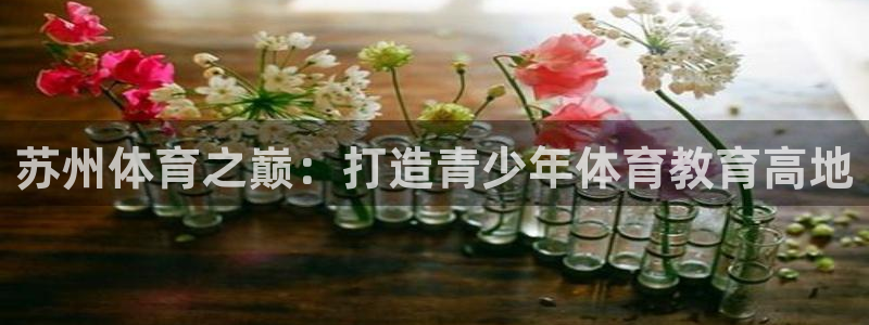 公海赌赌船官网下载是干嘛的公司：苏州体育之巅：打造青