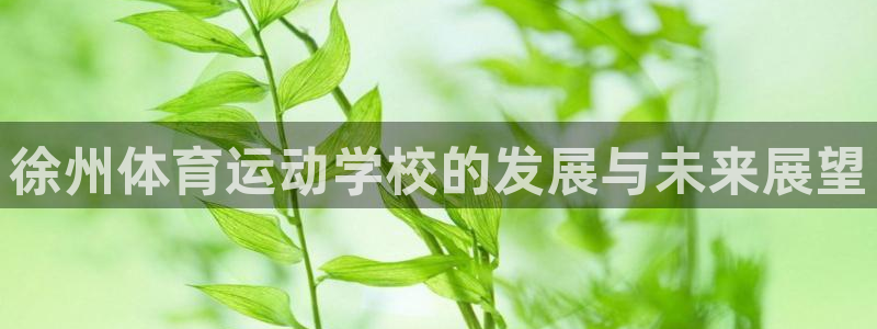 公海赌赌船官网下载是干嘛的公司：徐州体育运动学校的发展与未来