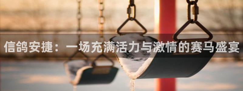 松鼠直播：信鸽安捷：一场充满活力与激情的赛马盛宴