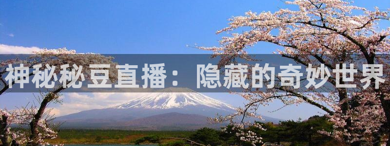 松鼠平台：神秘秘豆直播：隐藏的奇妙世界