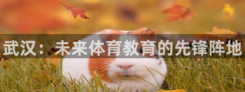 公海赌赌船官网下载平台假的吗是真的吗：武汉：未来体育