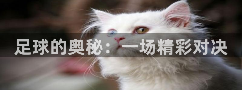 海南公海赌赌船官网下载：足球的奥秘：一场精彩对决