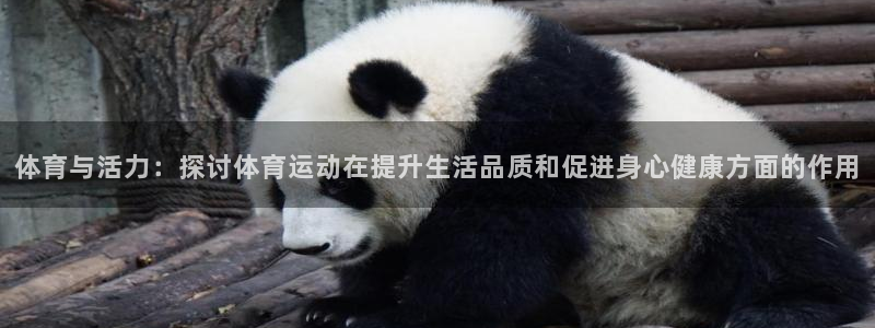 公海赌赌船官网下载招商电话：体育与活力：探讨体育运动在提升生