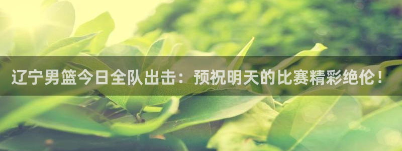 松鼠直播nba：辽宁男篮今日全队出击：预祝明天的比赛精彩绝伦！
