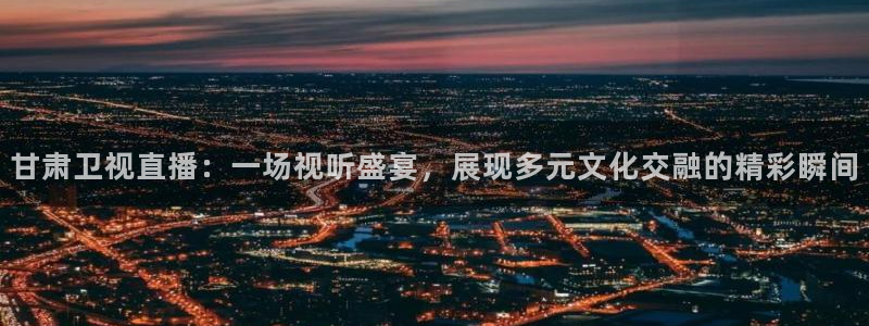 松鼠看球直播：甘肃卫视直播：一场视听盛宴，展现多元文化交融的精彩瞬间