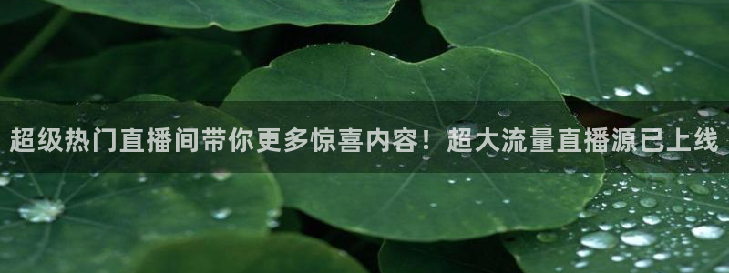 松鼠体育下载：超级热门直播间带你更多惊喜内容！超大流量直播源已上线
