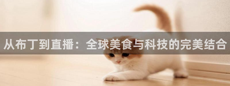 松鼠体育在线直播视频：从布丁到直播：全球美食与科技的完美结合