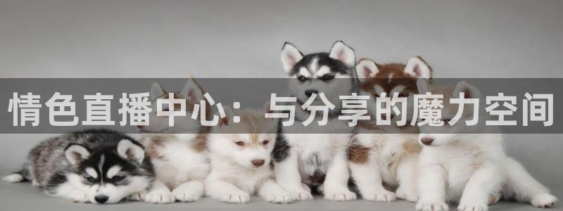 松鼠直播：情色直播中心：与分享的魔力空间