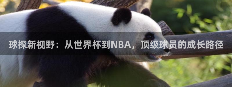 松鼠直播体育免费：球探新视野：从世界杯到NBA，顶级球员的成长路径