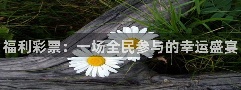 松鼠直播tv：福利彩票：一场全民参与的幸运盛宴