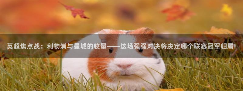 松鼠客户端：英超焦点战：利物浦与曼城的较量——这场强强对决将决定哪个联赛冠军归属!