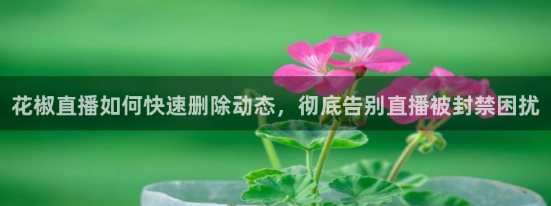 下载松鼠电视直播：花椒直播如何快速删除动态，彻底告别直播被封禁困扰