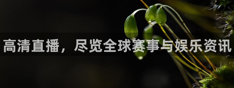 松鼠直播nba：高清直播，尽览全球赛事与娱乐资讯