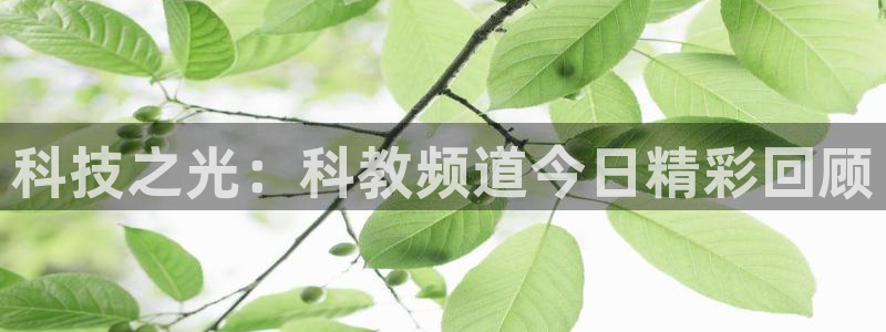 松鼠看球直播：科技之光：科教频道今日精彩回顾